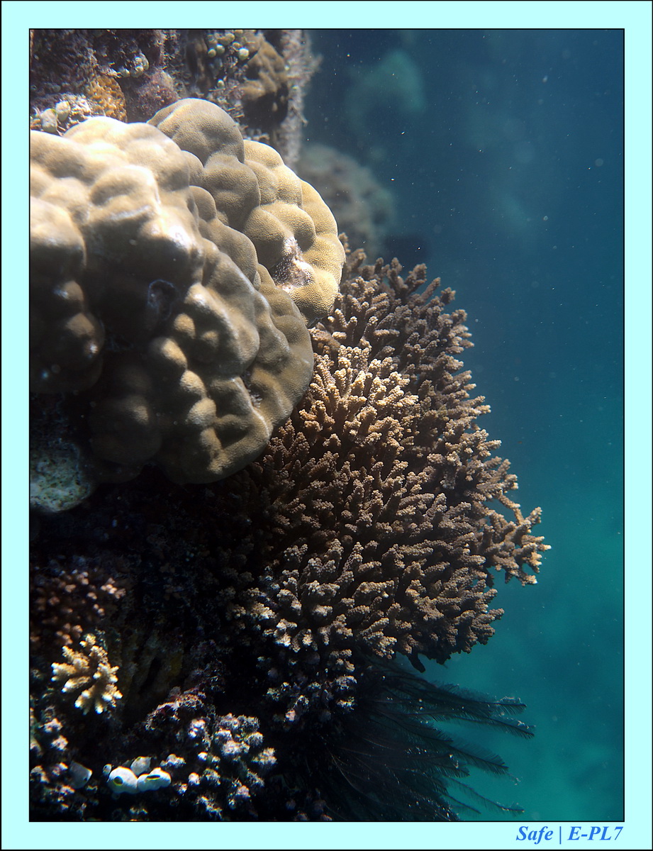 2016 - 07 - Leng Tengah - 098